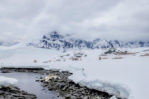 Jougla Point Antarctica - Lina Stock