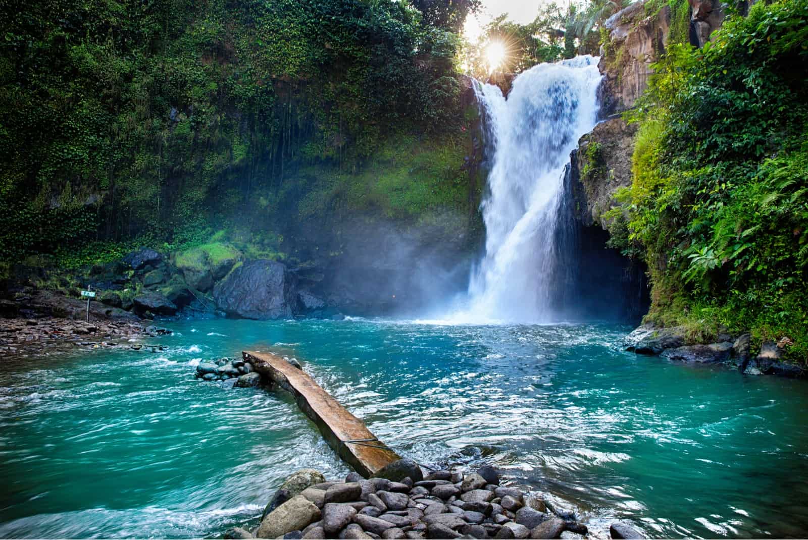 15 Things to Do in Ubud