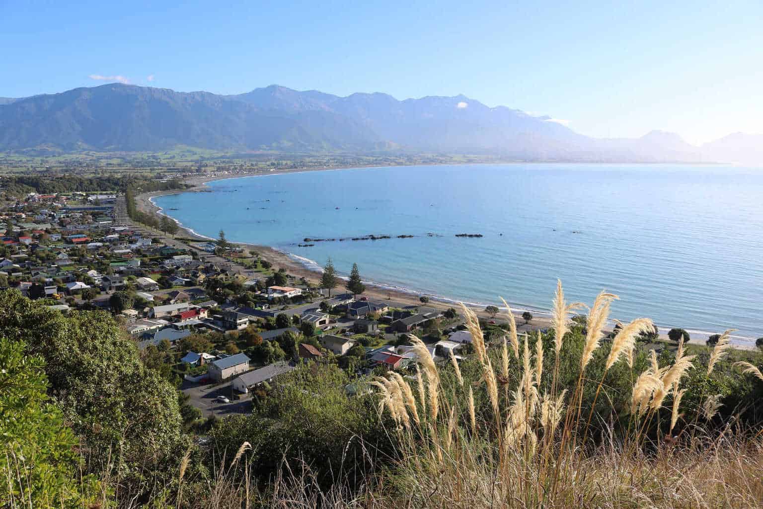 EPIC Things To Do In Kaikoura, New Zealand