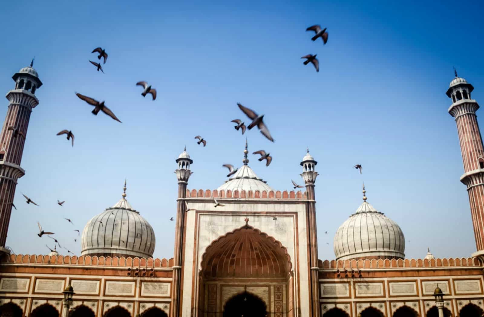 Essential Guide to the Golden Triangle in India