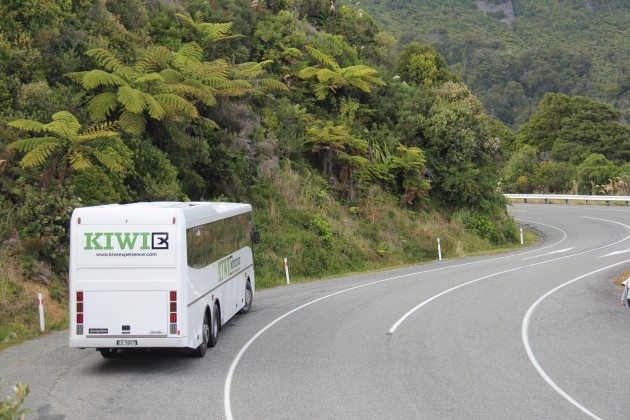 Kiwi Experience New Zealand RTW Recap