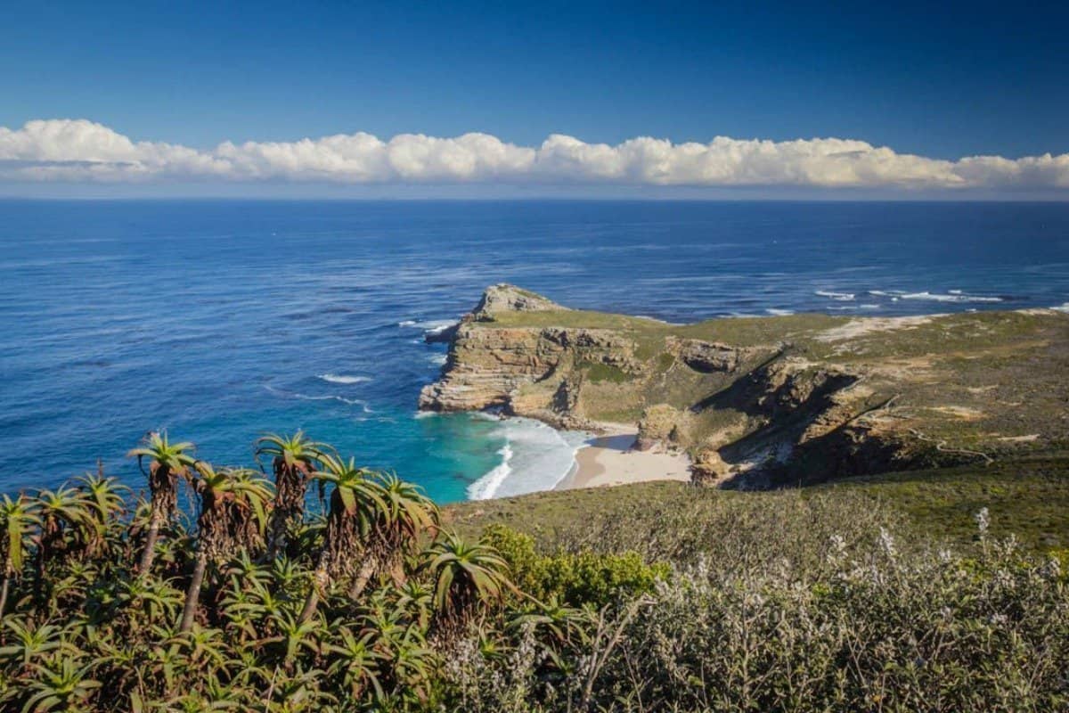 Things to Do in Cape Town