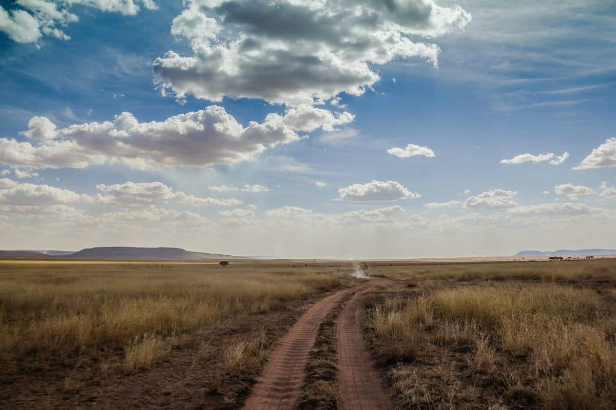 Ultimate Guide to Planning a Tanzania Safari