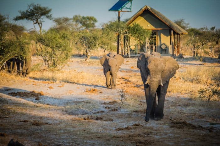 Elephant Sands Camping Botswana