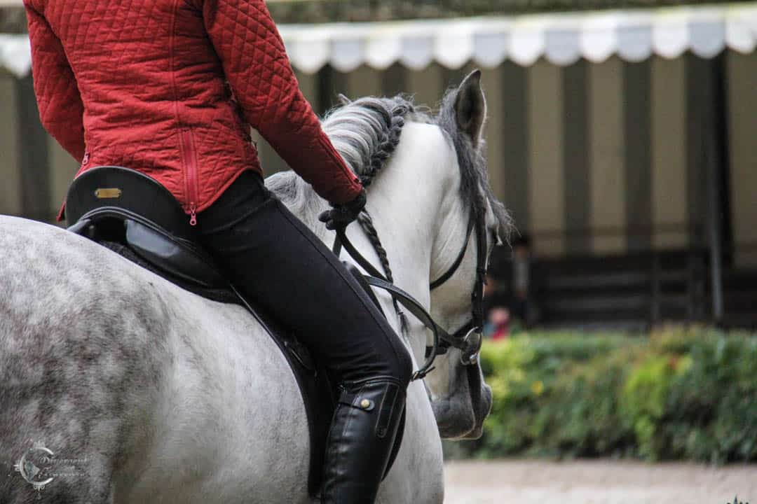 Horseback Riding France