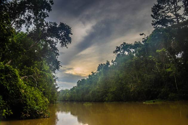 Kinabatangan River Sabah Borneo