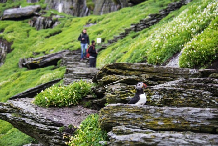 Skellig Michael Wild Atlantic Way Ireland