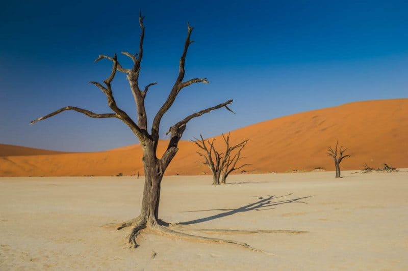 Deadvlei Namibia Visit Africa