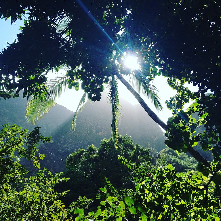 Iao Valley, Maui, Hawaii