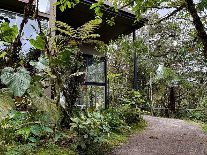 Mashpi Lodge, Ecuador
