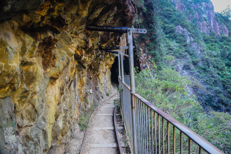 things to do in New Zealand - Karangahake Gorge