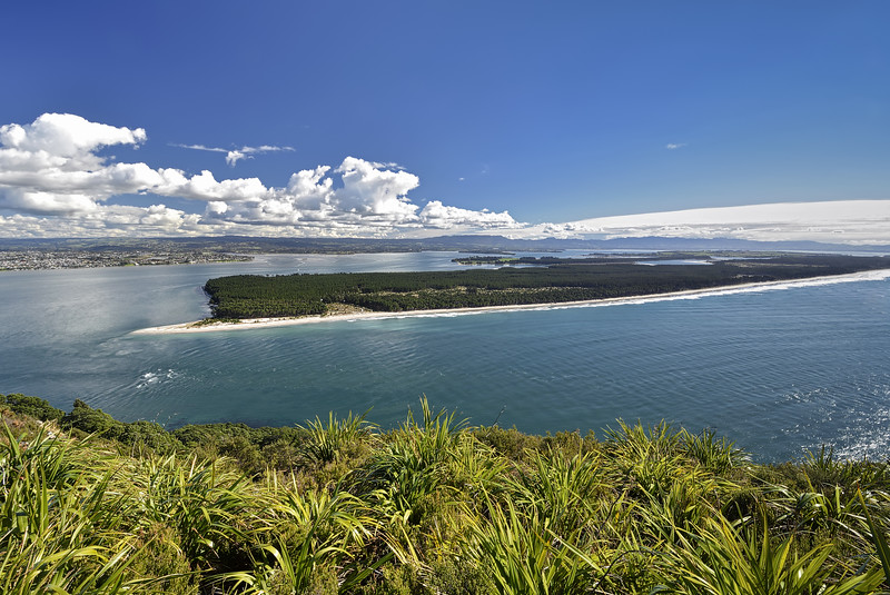 Matakana Island in the Bay of Plenty Tauranga New Zealand