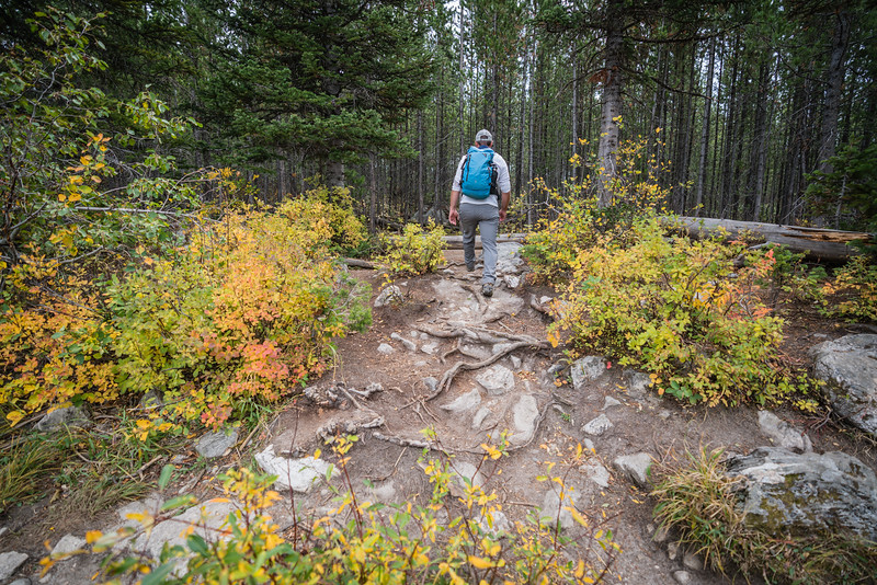 David Stock hiking in Grand Teton National Park