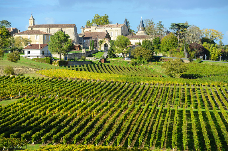 Vineyards at Saint-Emilion's in France along the Dordogne and Garonne Rivers