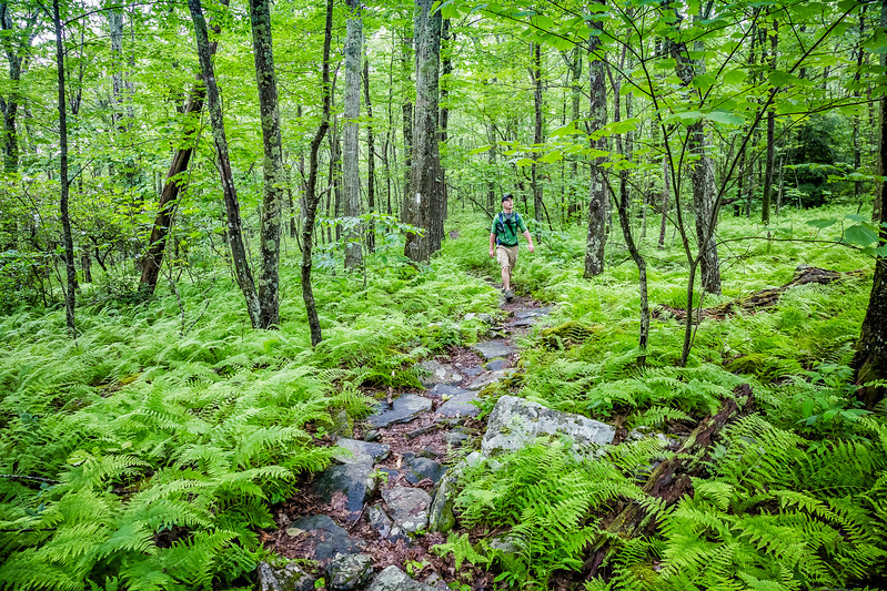 Southwest Virginia Things to do in Virginia Appalachian Trail