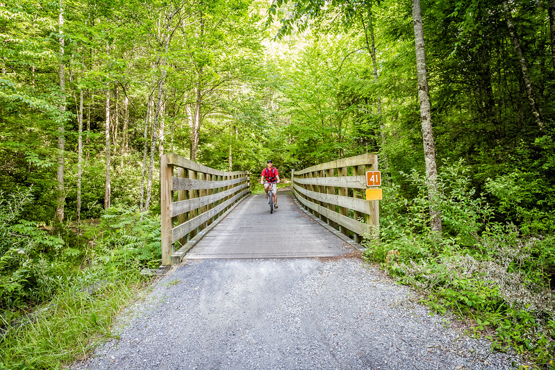 Southwest Virginia Things to do in Virginia Creeper Trail