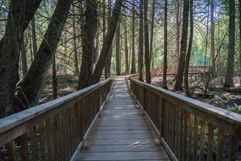 Trail of the Cedars boardwalk in Glacier National Park.