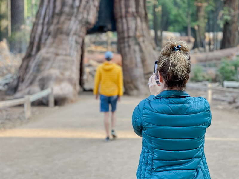 A woman photographing a man walking towards a tree in Yosemite National Park