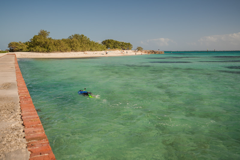 Snorkeler at Dry Tortugas National Park near the moat wall